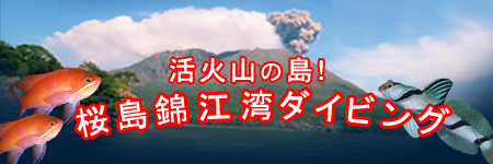 活火山の島!桜島錦江湾ダイビング