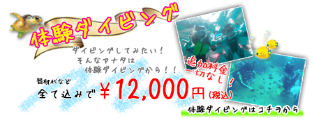 ダイビングショップSB体験ダイビング