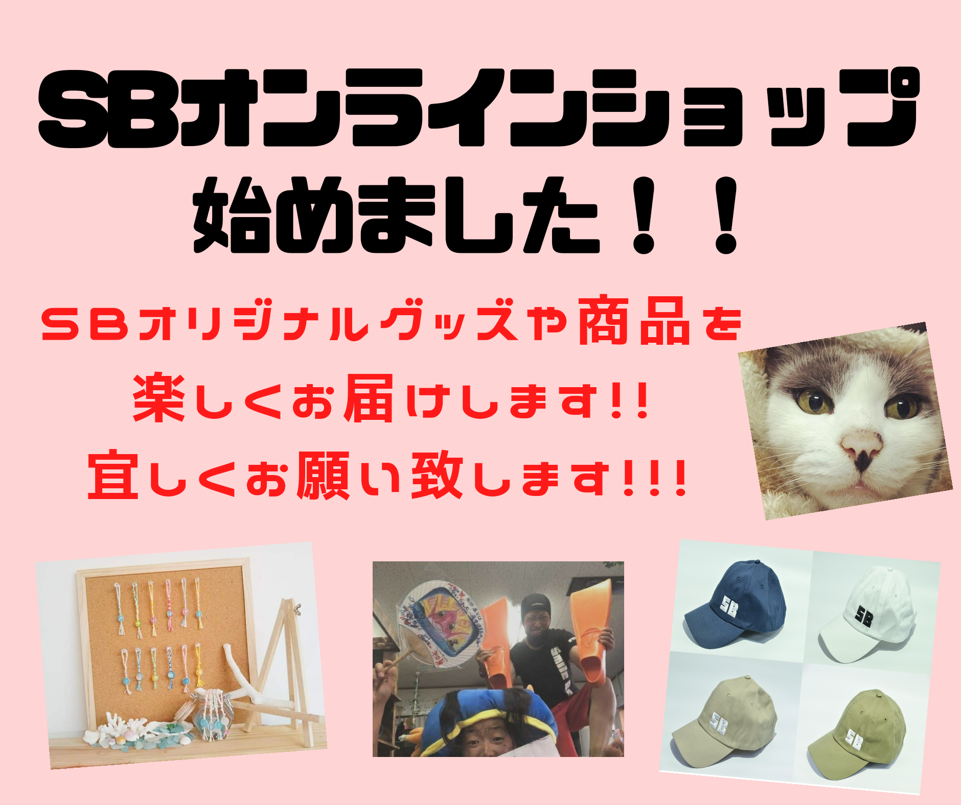 SBオンラインショップ始めました!